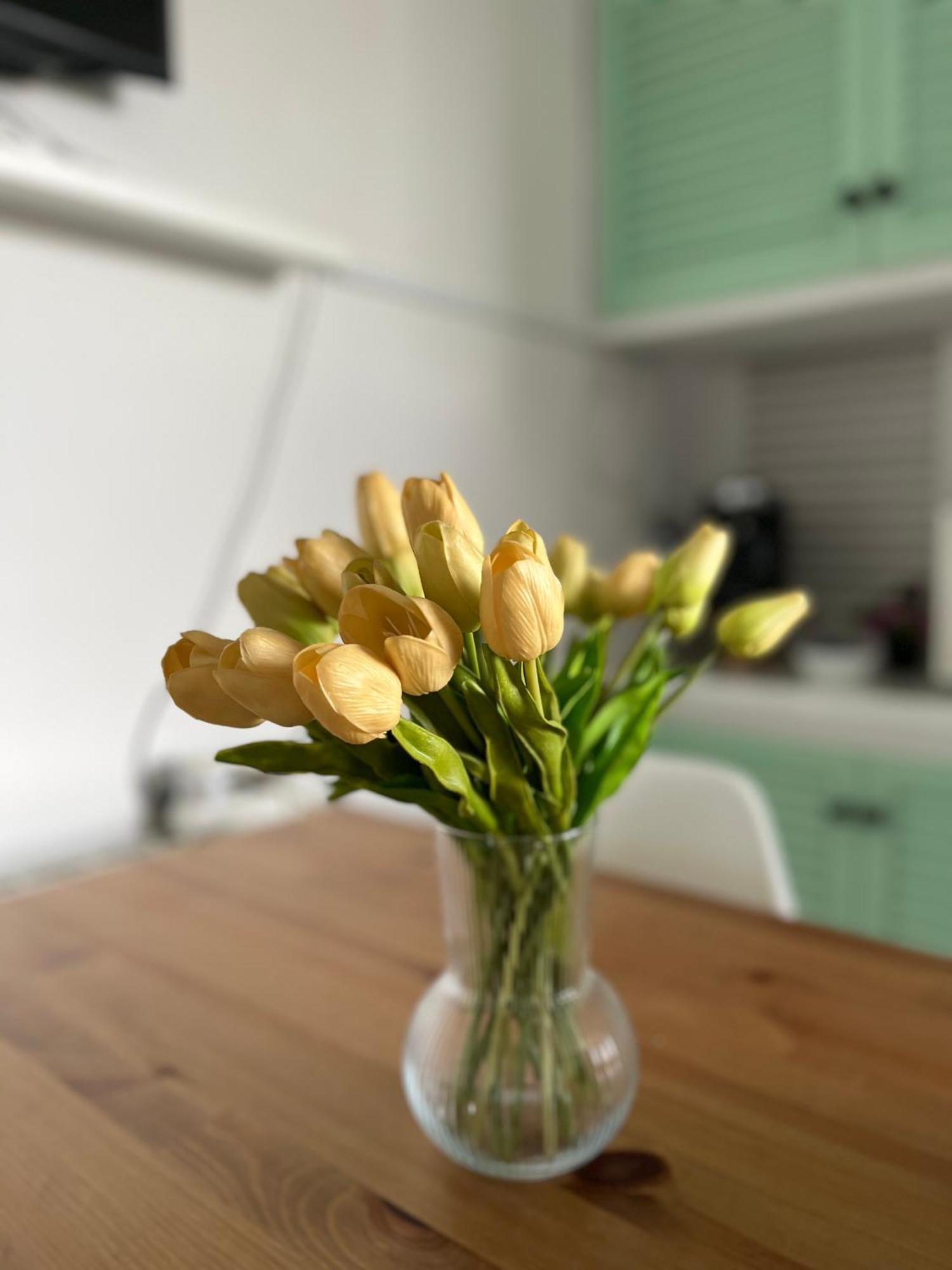 Your Holidays Apartment Platja d'Aro Εξωτερικό φωτογραφία